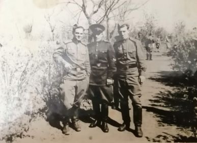 май 1956