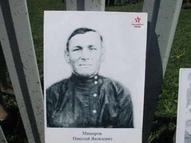 Папа дедушки, Мишаров Николай Яковлевич