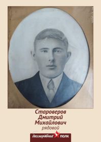 Староверов Дмитрий Михайлович