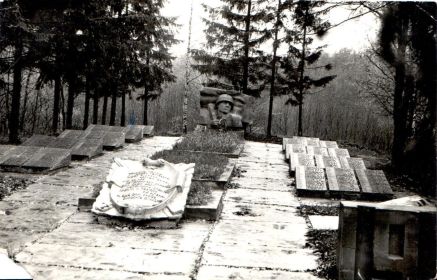 Воинское захоронение, Беларусь, Витебская обл., Городокский р-н, дер. Прудники (400 м южнее) в урочище &quot;ЧЕРНИЧКА&quot;