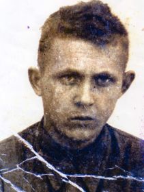 Приемышев В.И. Ленинградский фронт, 19.09.1943 год