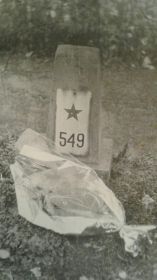 могила № 549