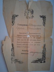 За взятие Германии