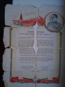 Благодарность Жукова