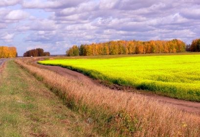 Село Кочки Новосибирской области / Место рождения и проживания солдата