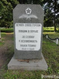 п. Пушкино, Нестеровский р-н. (могила №7, 5-й от сев.края, в 1-м ряду). Фото 2