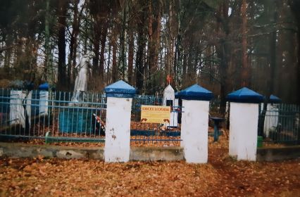 Братская могила на кладбище дер. Толмачи Лихославского р-на Тверской области, где похоронен Васий Голубев