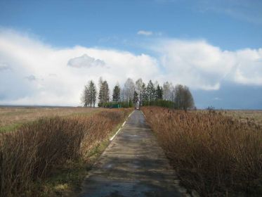 Место захоронения