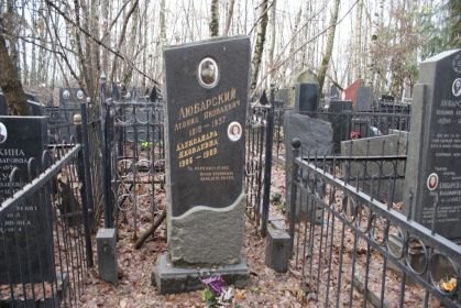 могила Любарского Н.Я. в селе Ольховец.