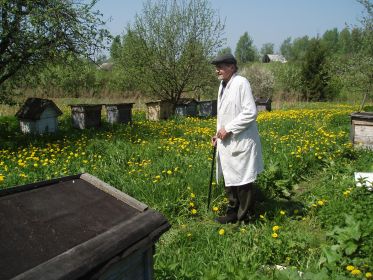 Иван Иванович и его пчелы