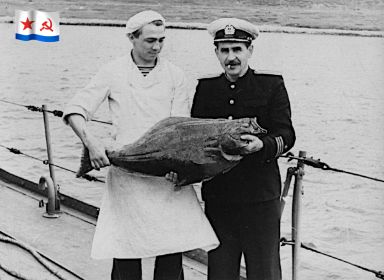 Дары Баренцева моря.