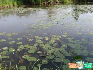 Природный заказник Атнинского района.