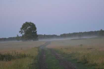 Природа Аргаяшского района. Недалеко от с.Акбашево.