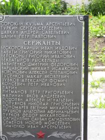 Шанин Петр Павлович. Памятник с. Погожее