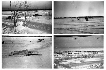 Бои под Киришами зимой 1941 года