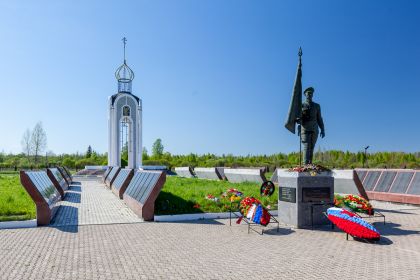 Новгородская область, д.Мясной Бор