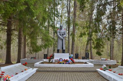 Новгородская область, Парфинский район, д.Ясная Поляна
