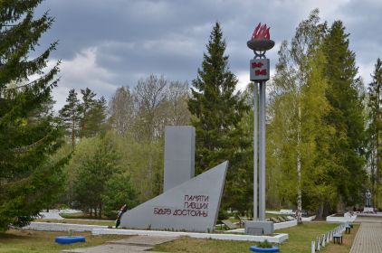 Новгородская область, Парфинский район, д.Ясная Поляна