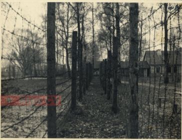 Stalag 350 Митава (Mitau; в н.вр. Елгава) - Саласпилс ( Salaspils). Вход в лагерь.