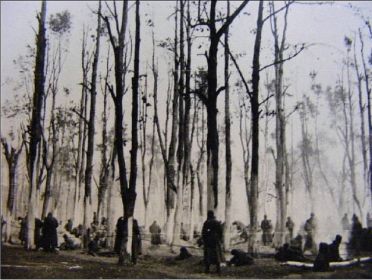 Stalag 350 Митава (Mitau; в н.вр. Елгава) - Саласпилс ( Salaspils). Осень 1941 г. Лагерь для советских военнопленных. На снимке видны деревья с объеденной узниками корой.