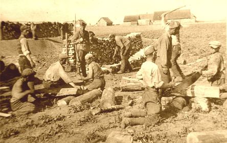 Oflag 68 Зудауен (Sudauen), Stalag I F Зудауен (Sudauen). Советские военнопленные на принудительных работах.