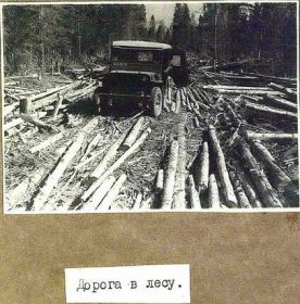 Дорога в лесу. Фото из альбома Оборонительные сооружения финнов на Онежско-Ладожском перешейке. Фотограф старшина И.И. Козьминский. Июнь-сентябрь 1944 г