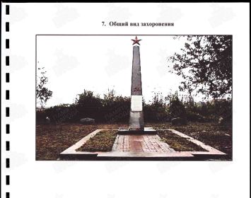 Общий вид.