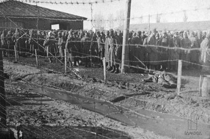 Stalag 342 Молодечно (Molodetschno). Советские военнопленные.