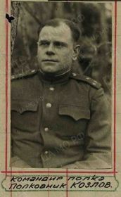 Командир 431 сп 52 сд