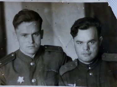 С боевым товарищем