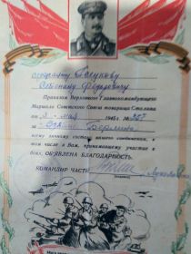 Благодарность