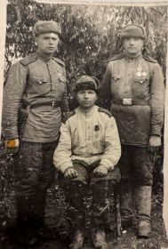 Боевые товарищи