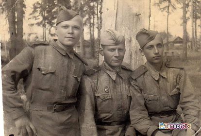 Боевые товарищи