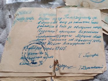 За отличные боевые действия в боях за взятие города Будапешт