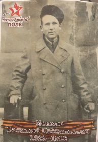 Мешков вернулся с фронта после госпиталя