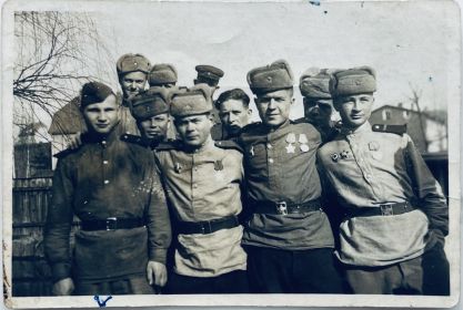 Боевые товарищи