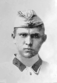 Бредихин Иван Петрович