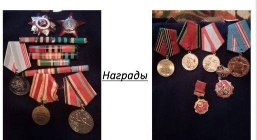 Другие награды
