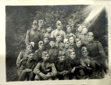 Боевые товарищи