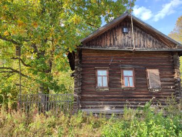 В деревне Седуны, на родительской земле, Аркадием и братьями посажен дуб - символ рода Кокориных.  Дуб - это мужское дерево. В славянском фольклоре даёт силу, здоровье и плодовитость.