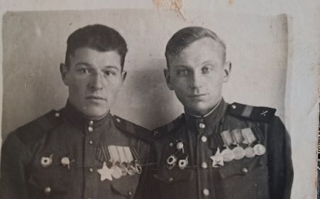 Боевой товарищ