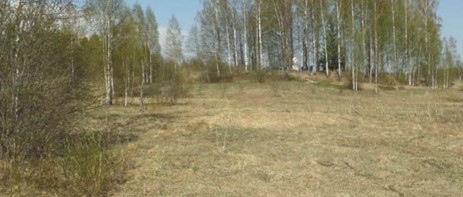 Место захоронения - Липининское воинское захоронение, недалеко от г. Ржев - березовая роща