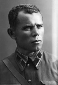Полковник ЯКОВЛЕВ Д. Я.