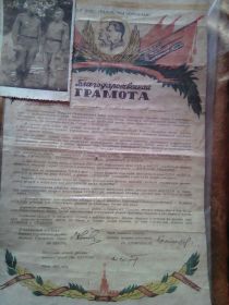 Благодарность ефрейтору Криушичеву Василию Ивановичу от Маршала Советского Союза И.С. Конева