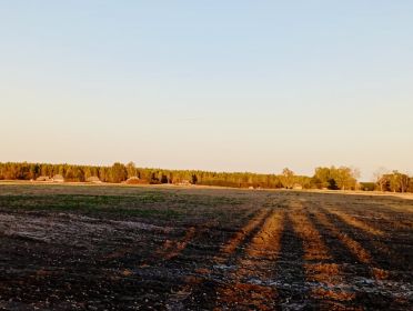 25 09 24 село Терентеево вид с кладбища 2