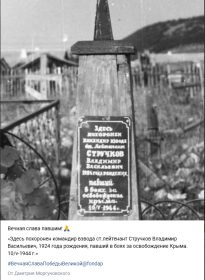 Из соцсетей Вконтакте