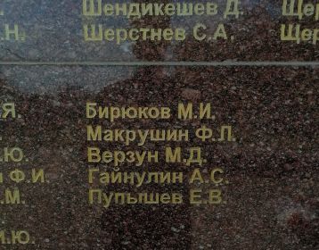 Имя Бирюкова Михаила Ивановича на братской могиле №113, Шиловский плацдарм, Воронежская область