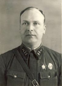 Батальонный комиссар ВИШНЯКОВ Н. Д.
