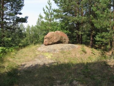 Рогачёвский р-н лес близ реки Друть, памятный камень