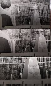 а вот и фотография с могилы похороненного деда-ветерана... /в том числе – увеличенные кадры/